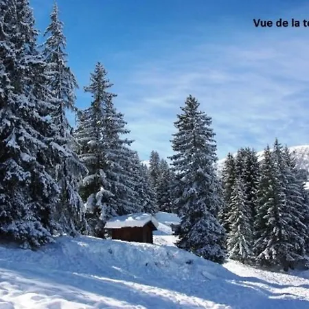 Lumineux 2 Pieces A Creve Coeur, Proche Pistes Et Commerces - Fr-1-356-271 Apartment Valmorel
