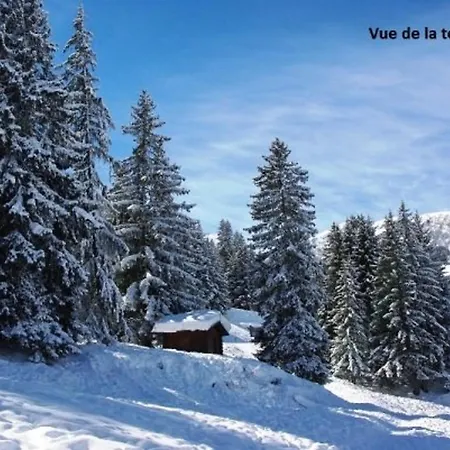 Lumineux 2 Pieces A Creve Coeur, Proche Pistes Et Commerces - Fr-1-356-271 *